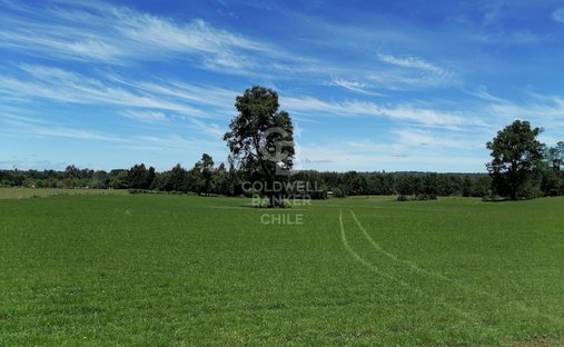 Tenuta a Purranque, Los Lagos, Cile 1