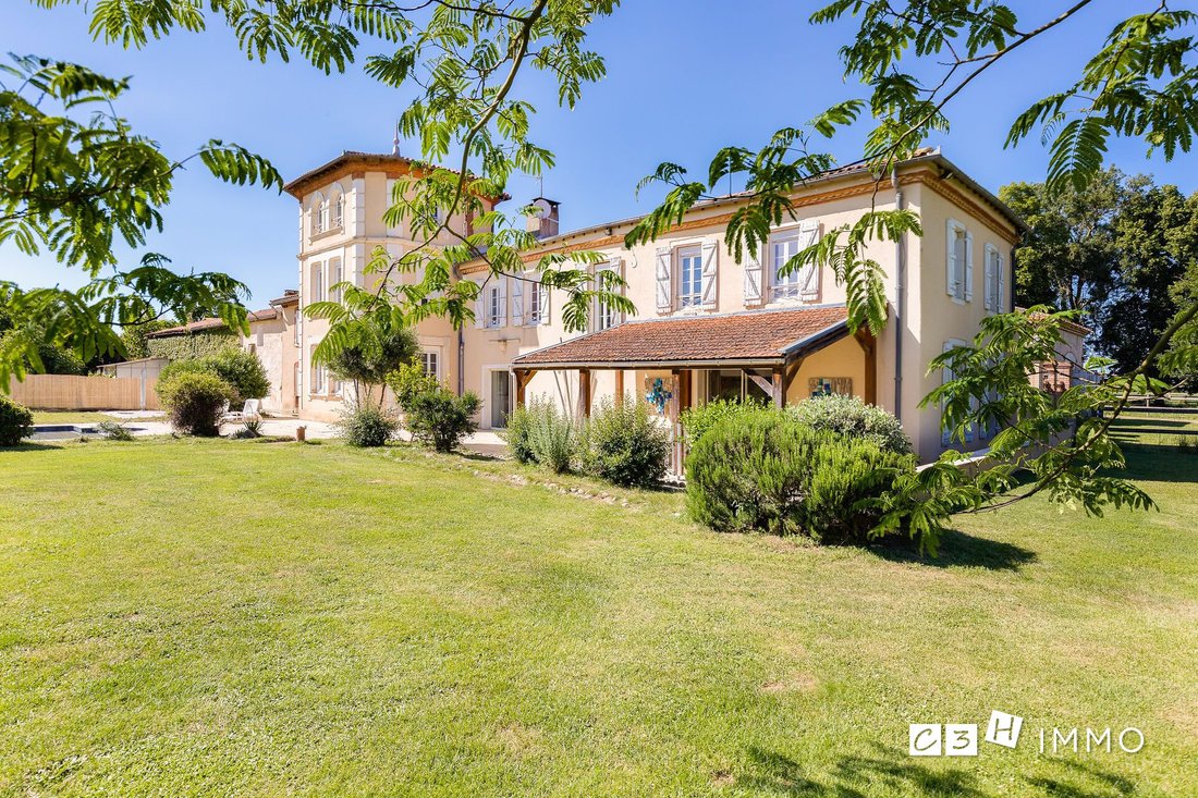 Chateau in Salles-sur-Garonne, Occitanie, France 1