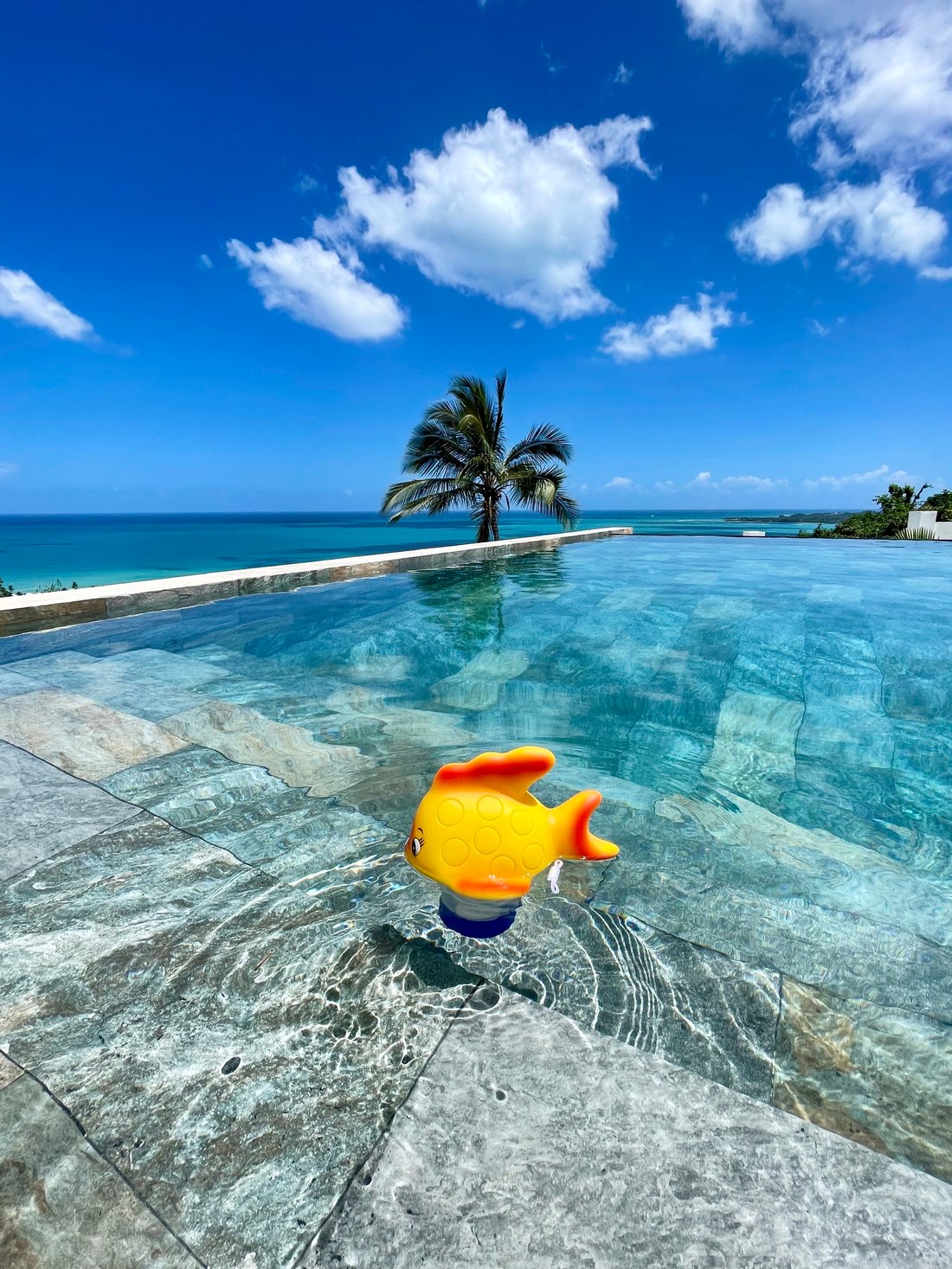 Villa in Las Terrenas, Samaná Province, Dominican Republic 1 - 15132578