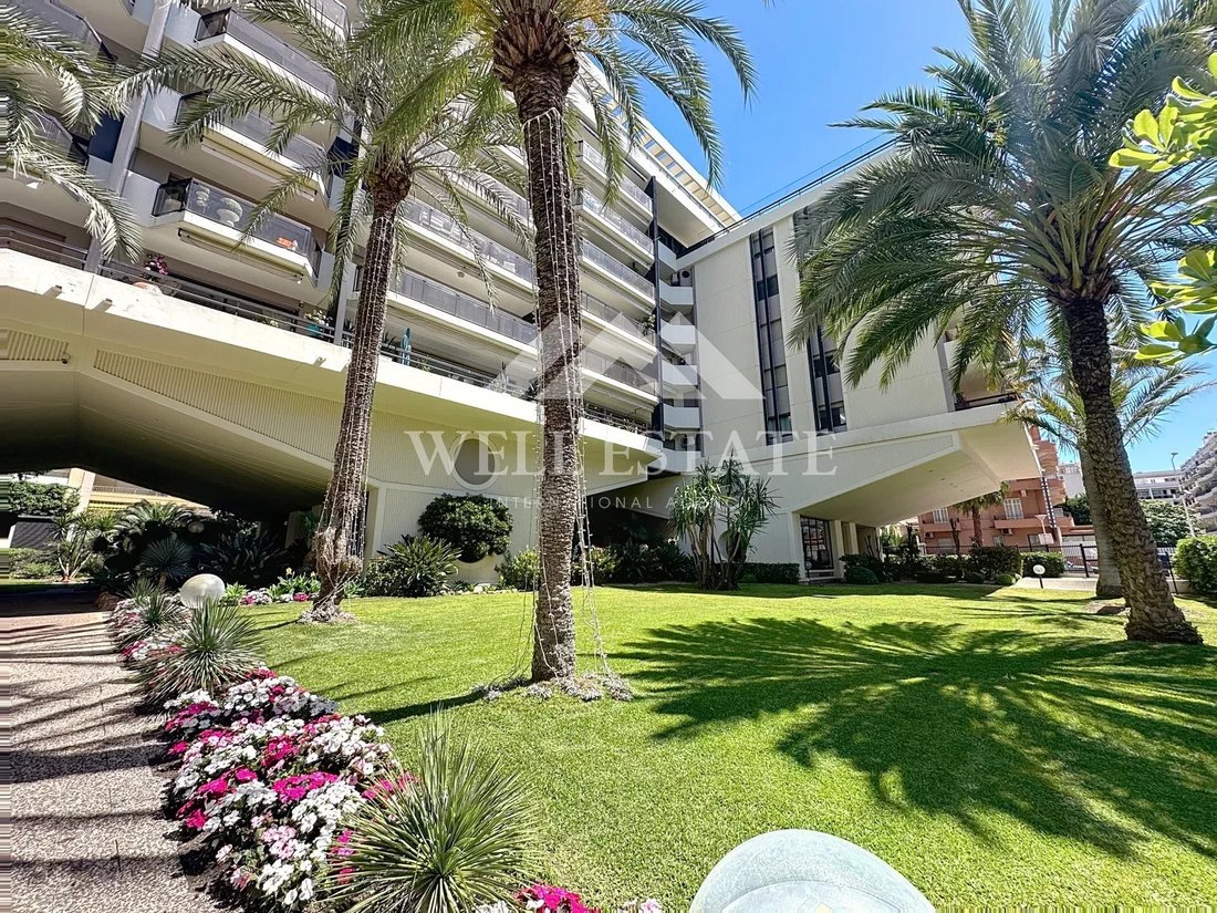 Apartment in Cannes, Provence-Alpes-Côte d'Azur, France 3 - 15748641