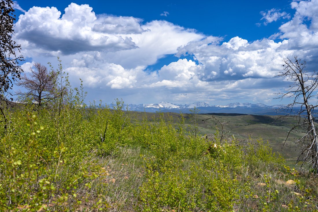 Land in Granby, Colorado, United States 4 - 15750703