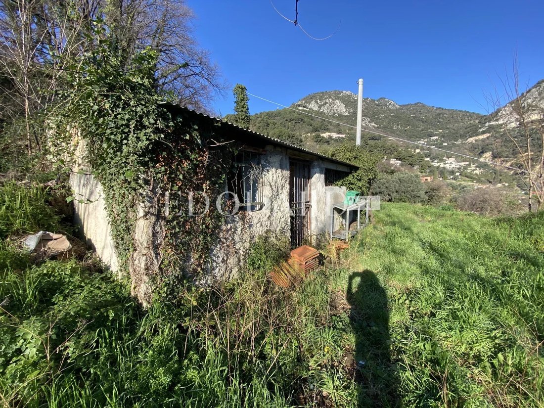 Land in Sainte-Agnes, Provence-Alpes-Côte d'Azur, France 5 - 15750444