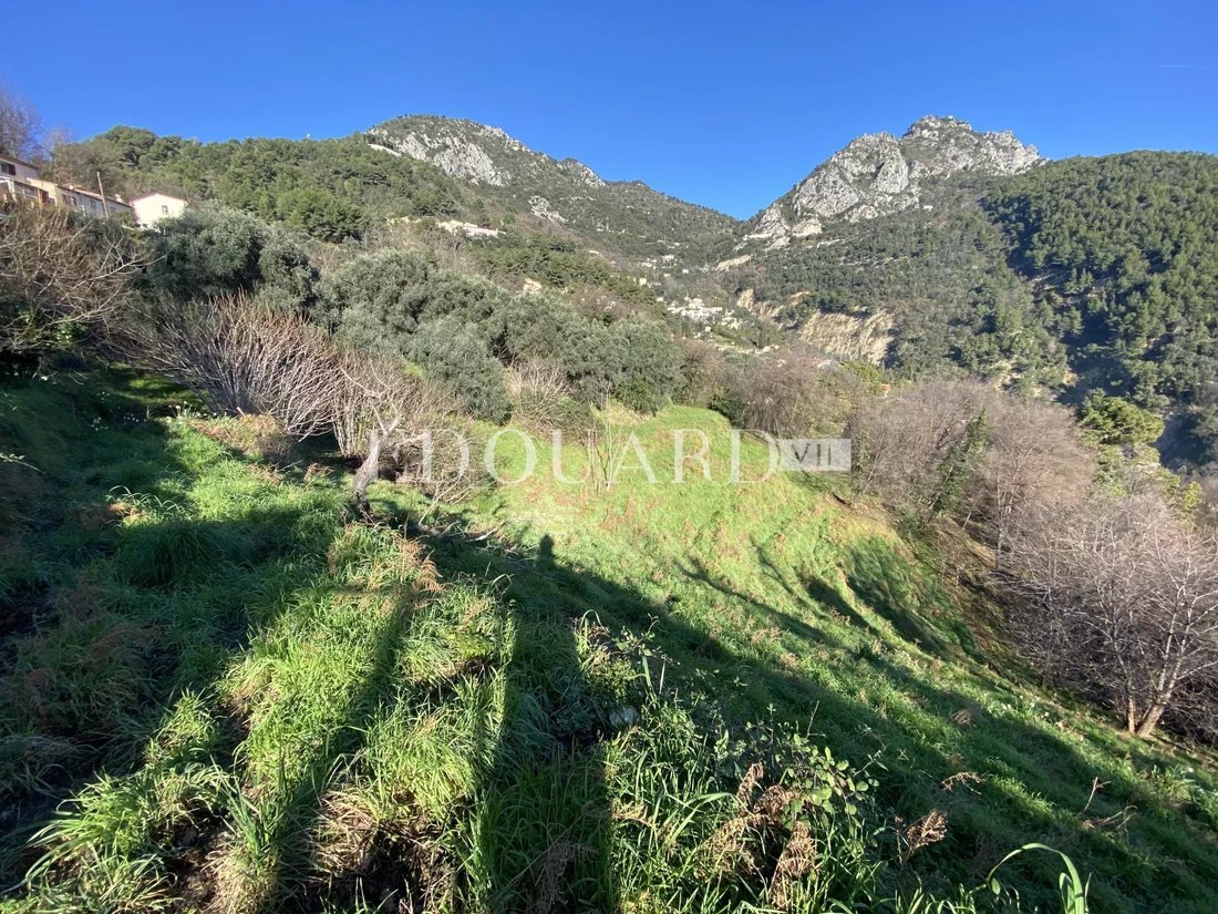 Land in Sainte-Agnes, Provence-Alpes-Côte d'Azur, France 4 - 15750444