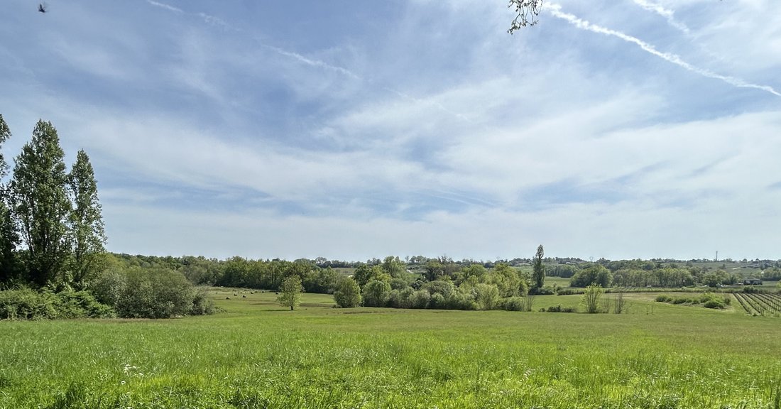 House in Libourne, Nouvelle-Aquitaine, France 4 - 15750541