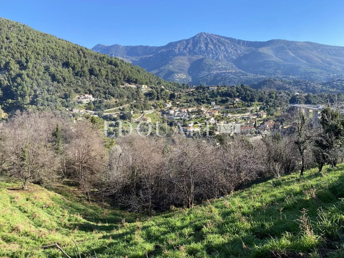 Land in Sainte-Agnes, Provence-Alpes-Côte d'Azur, France 2 - 15750444