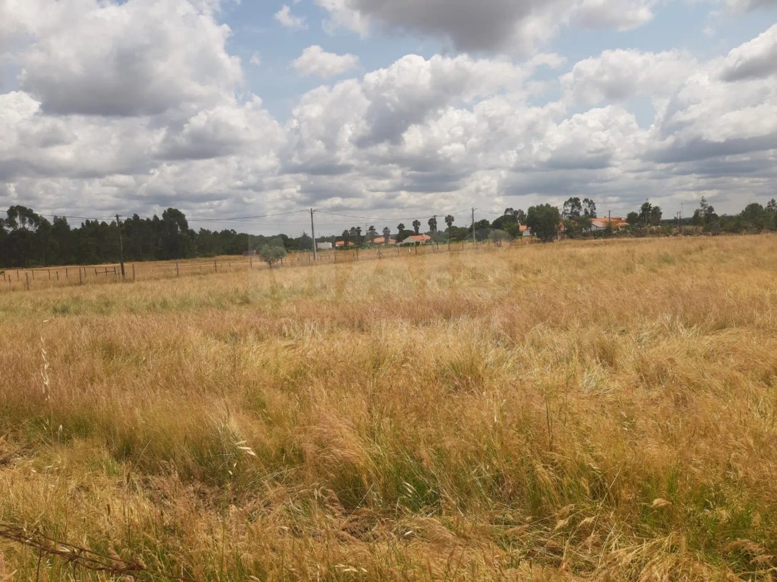 Land in Benavente, Santarem District, Portugal 1 - 11857220