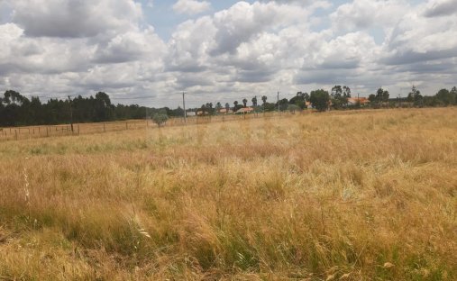 Land in Benavente, Distrikt Santarém, Portugal 1
