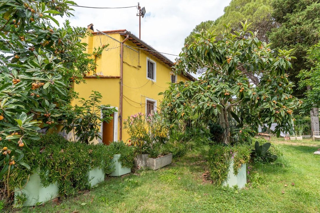 Monterappoli, Empoli, Tuscany 5 - 15753128