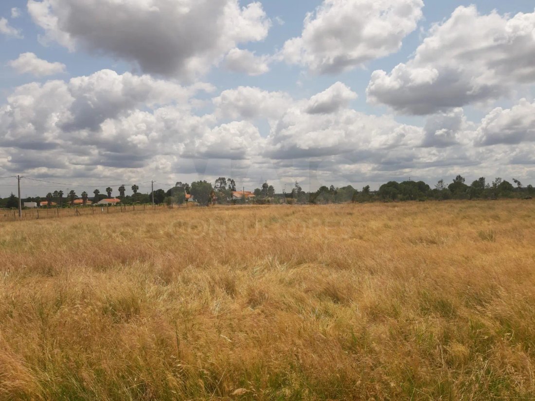 Land in Benavente, Santarem District, Portugal 5 - 11857220