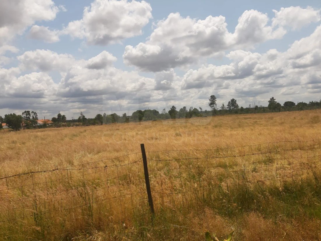 Land in Benavente, Santarem District, Portugal 4 - 11857220