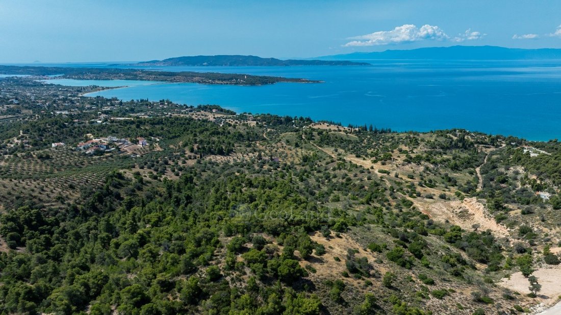Land in Koinotita Kranidiou, Kranidi, Greece 4 - 15754442