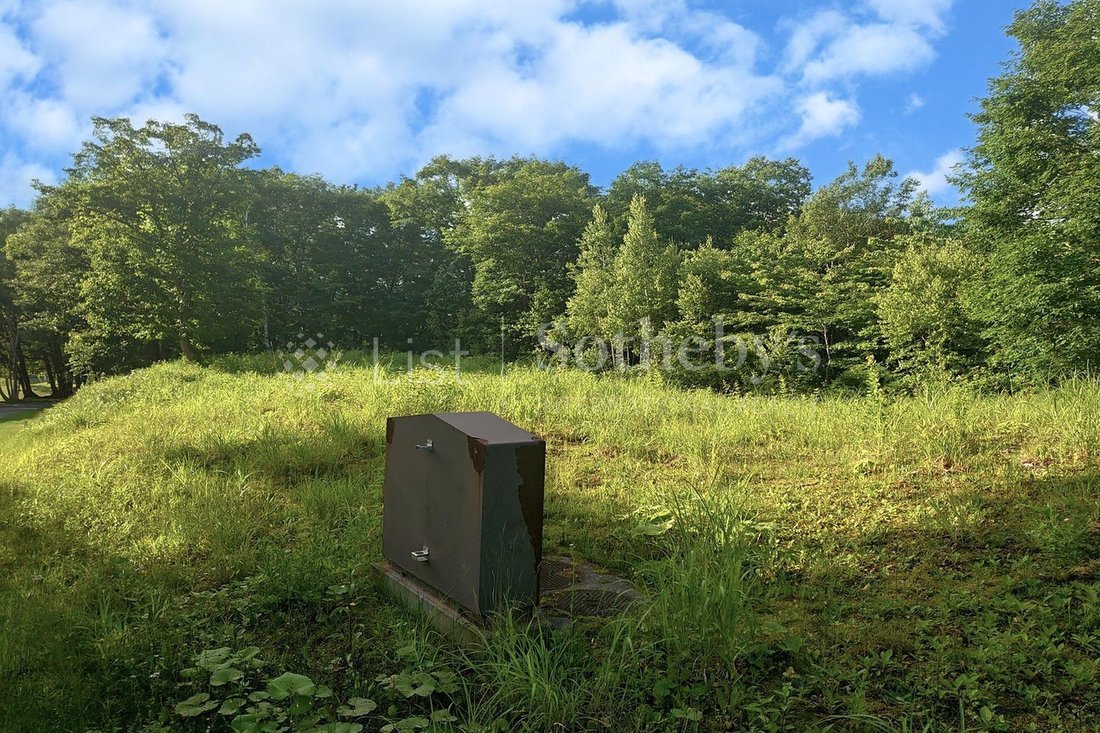 Land in Tone-gun, Tone District, Japan 5 - 11523445