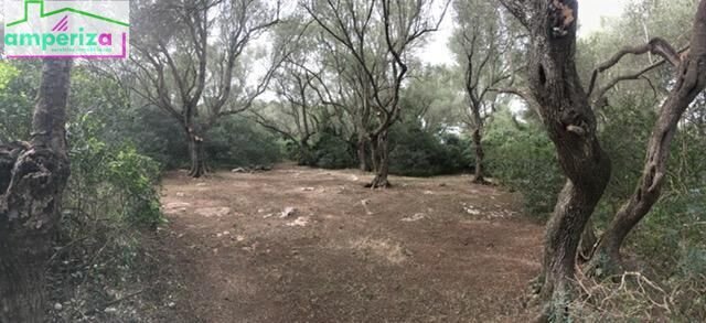 Land in Felanitx, Balearic Islands, Spain 2 - 15754347