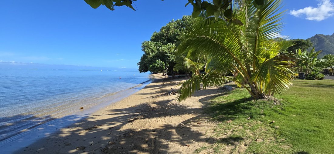 Land in Moorea-Maiao, Windward Islands, French Polynesia 1 - 15755807