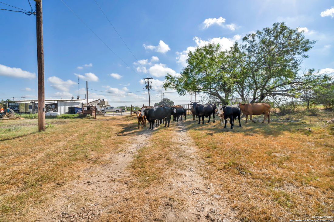 Land in La Vernia, Texas, United States 5 - 14823775