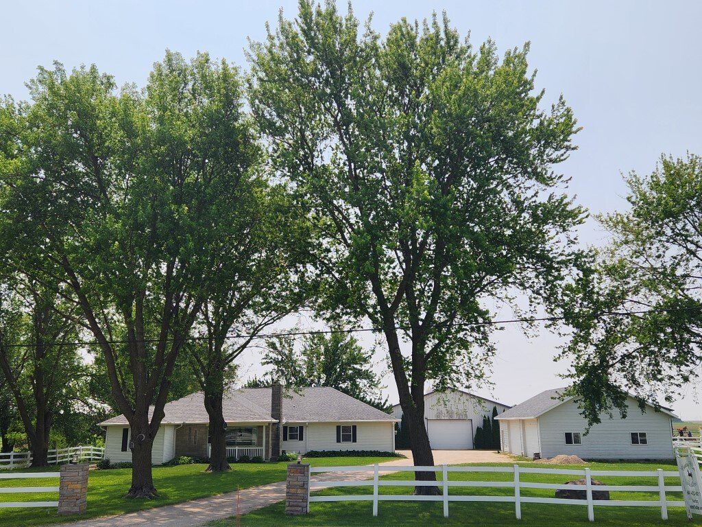House in Mason City, Iowa, United States 2 - 15752565