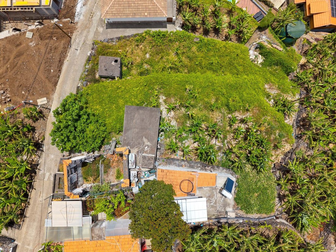 Villa in Arco da Calheta, Autonome Region Madeira, Portugal 3 - 15751297