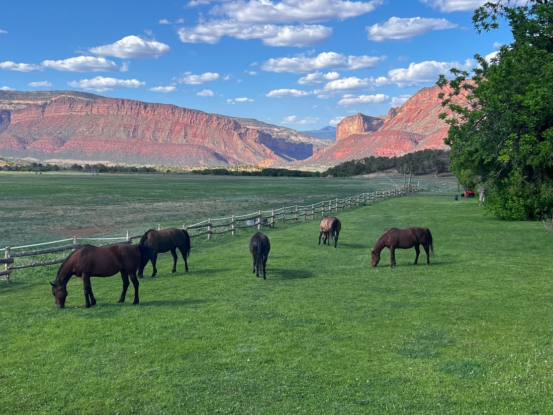 House in Gateway, Colorado, United States 5 - 15751567