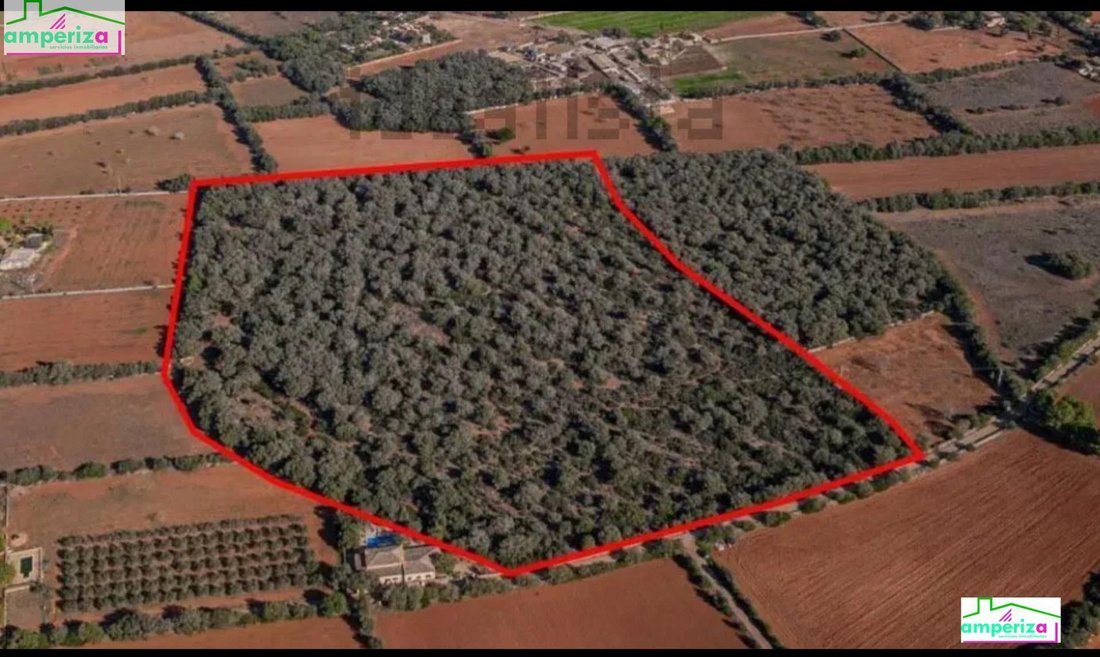 Land in Felanitx, Balearic Islands, Spain 3 - 15754347