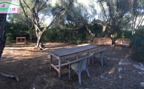 Land in Felanitx, Balearische Inseln, Spanien 1