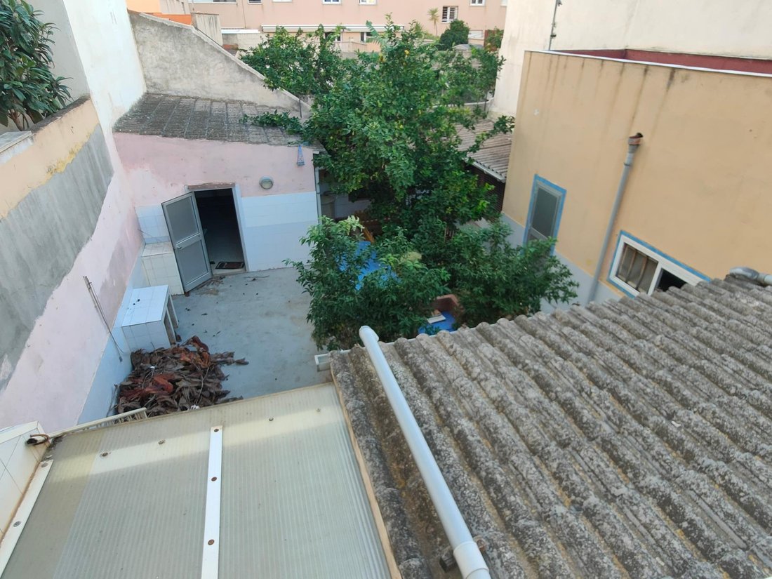 Palma, Balearic Islands, Spain 1 - 15754365