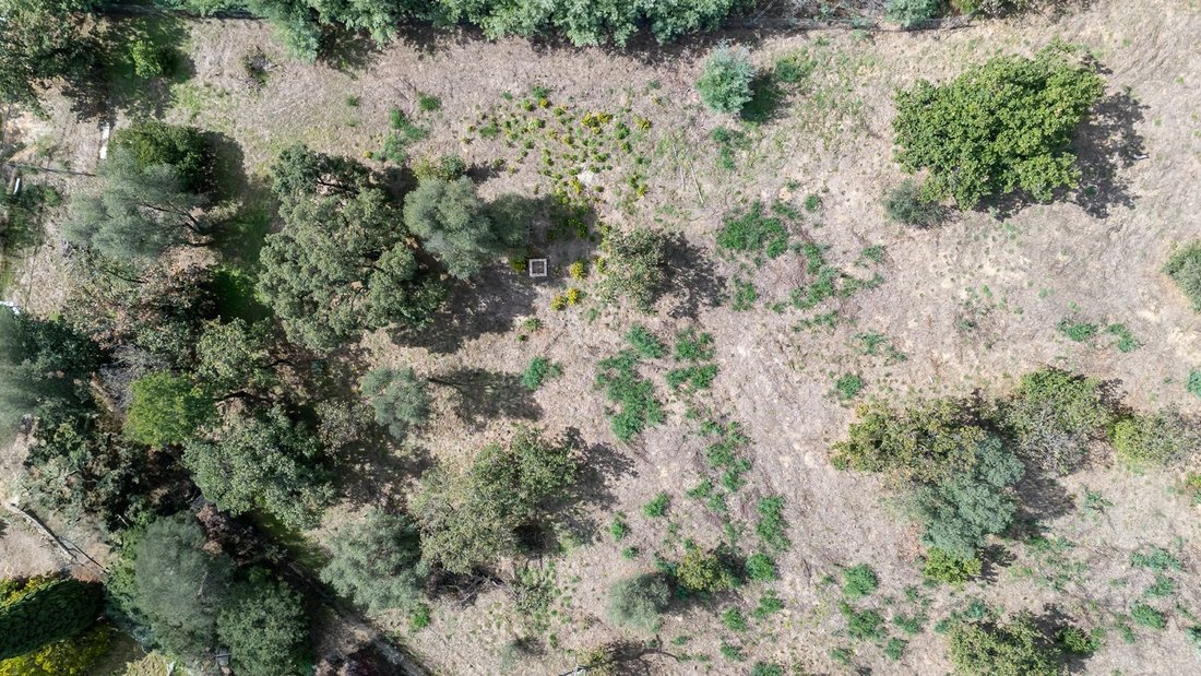 Terreno a Grimaud, Provenza-Alpi-Costa Azzurra, Francia 4 - 15756435