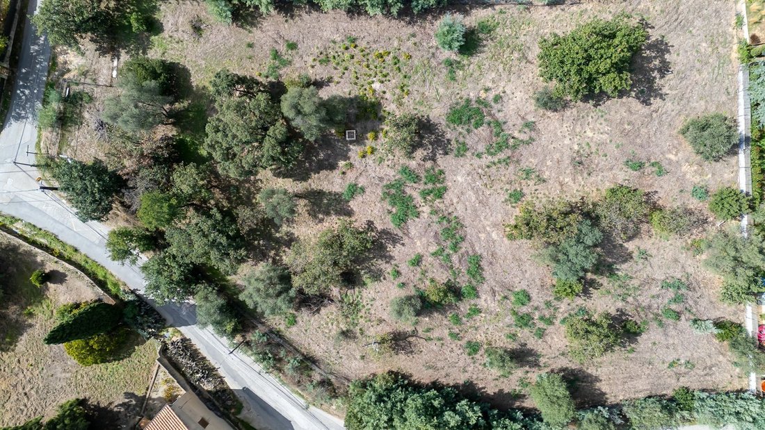 Terreno a Grimaud, Provenza-Alpi-Costa Azzurra, Francia 3 - 15756435
