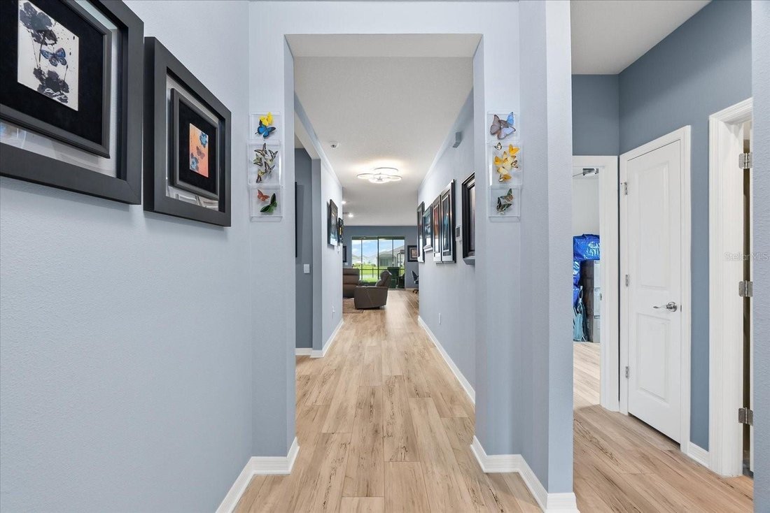 House in Bradenton, Florida, United States 5 - 15758651