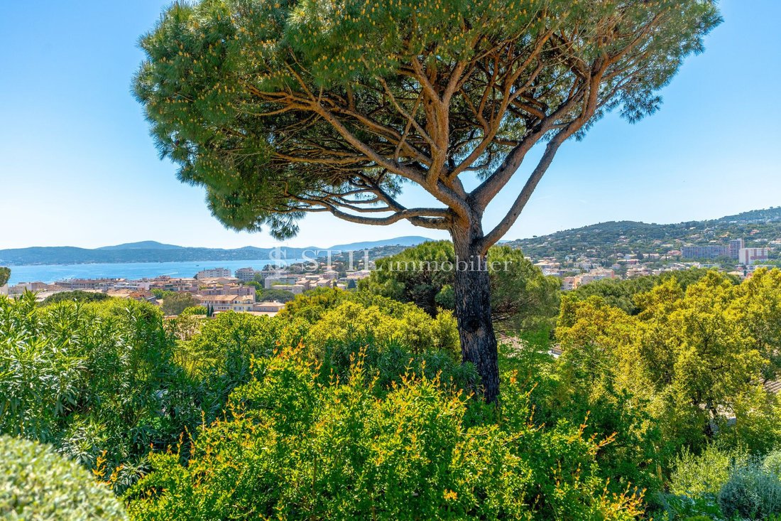 Villa in Ville-Les Saquedes-Le Bouillonnet, Sainte-Maxime, France 2 - 15757288