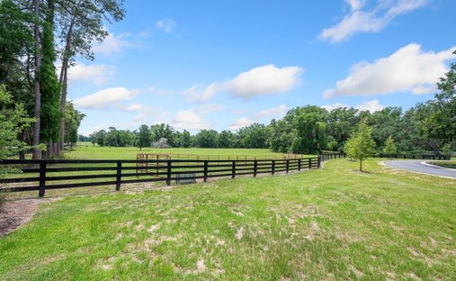 Land in Newberry, Florida, United States 1