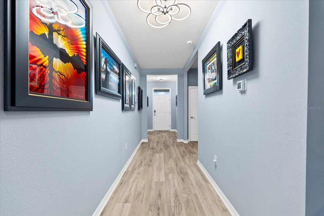 House in Bradenton, Florida, United States 4 - 15758651