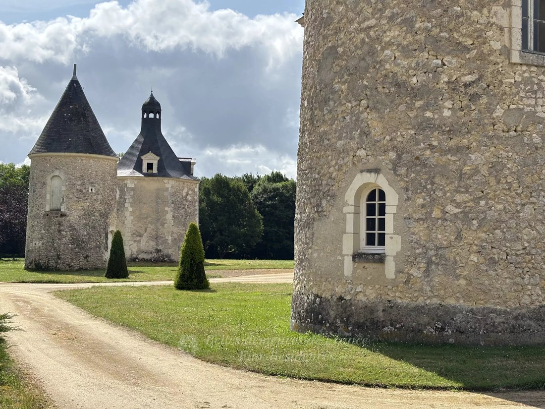 Château à Gare-Croix Verte-Ile Offard-Millocheau, Saumur, France 5 - 15758920