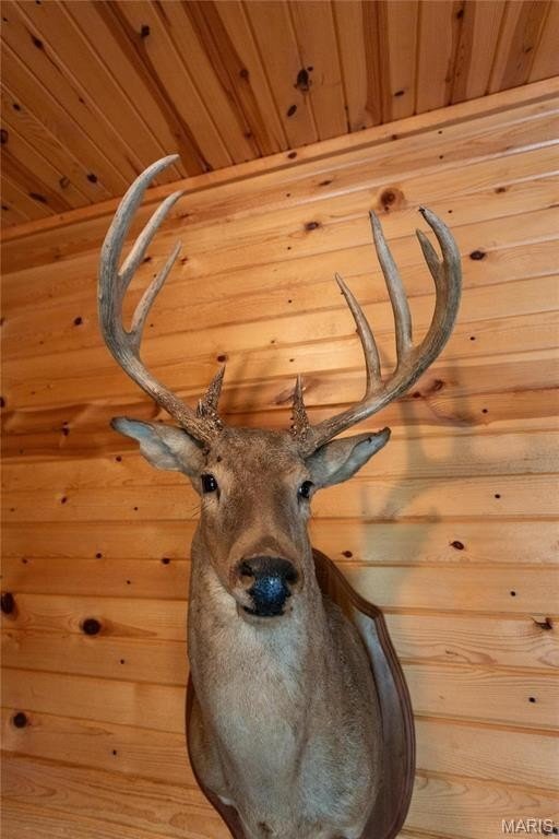Farm Ranch in Falcon, Missouri, United States 3 - 15758768