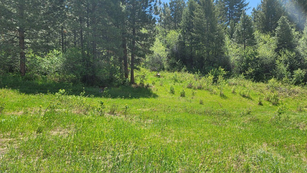 Council, Idaho, United States 5 - 15758662