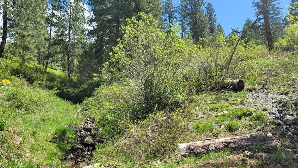 Council, Idaho, United States 2 - 15758662