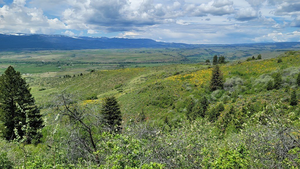 Council, Idaho, United States 3 - 15758662