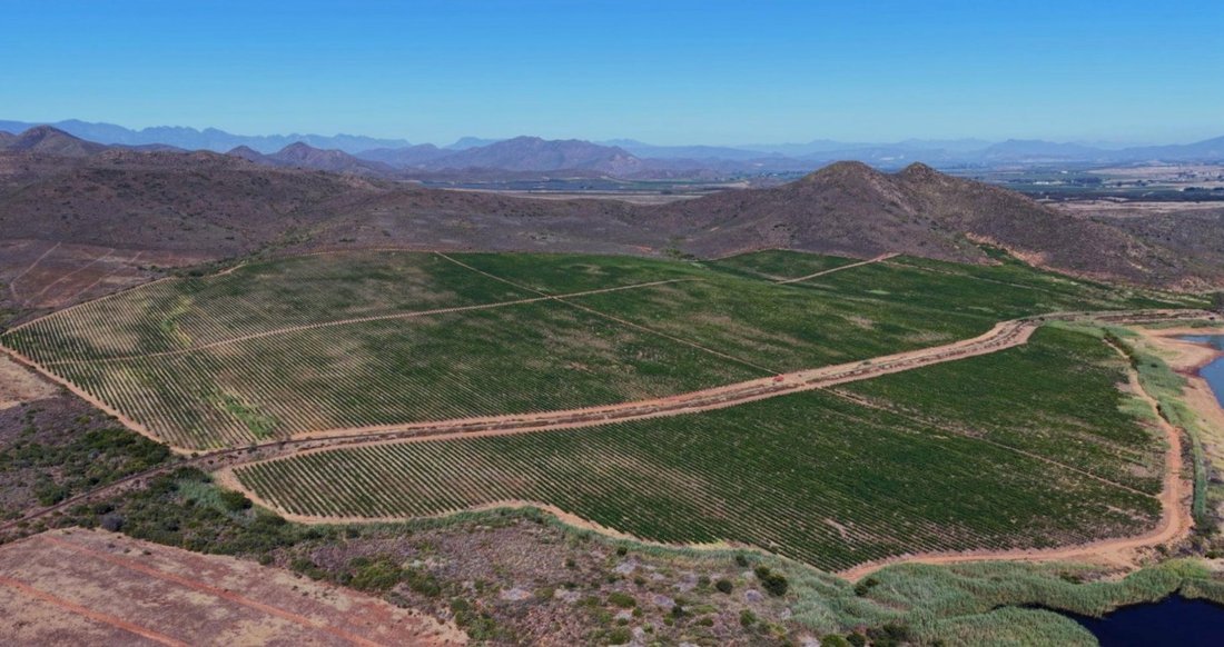 Farm Ranch in Ashton, Western Cape, South Africa 4 - 15756464