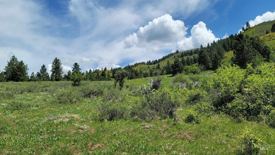 Andere in Council, Idaho, Vereinigte Staaten 4 - 15758763