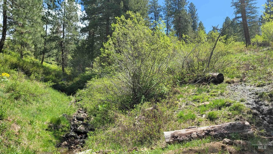 Farm Ranch in Council, Idaho, United States 2 - 15758772