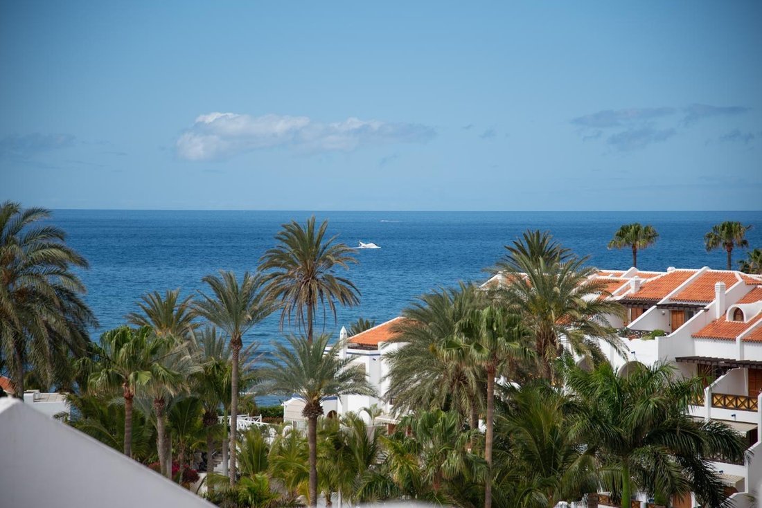 Apartment in Playa de las Americas, Canary Islands, Spain 3 - 15759581