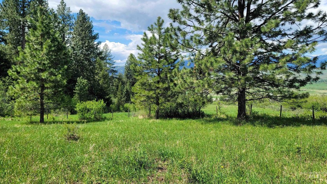 Andere in Council, Idaho, Vereinigte Staaten 5 - 15758763