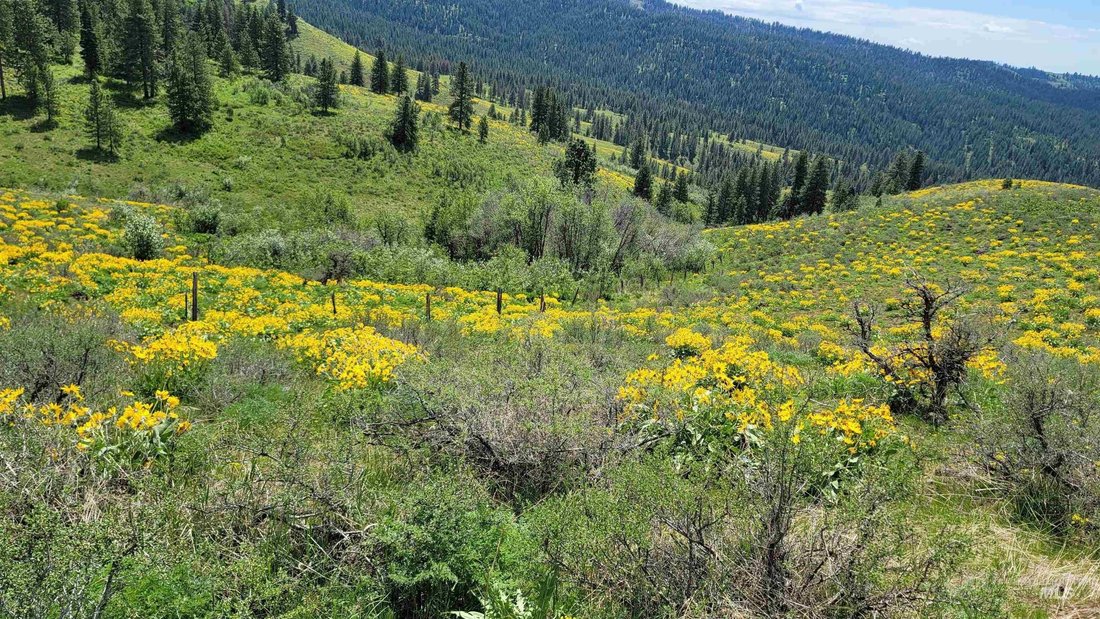 Farm Ranch in Council, Idaho, United States 1 - 15758772