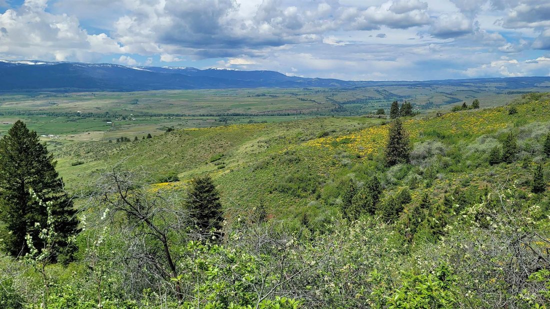 Farm Ranch in Council, Idaho, United States 3 - 15758772