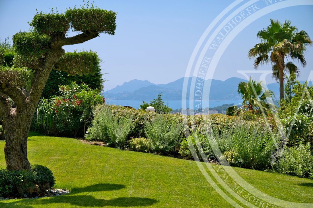 Villa in Cannes, Provence-Alpes-Côte d'Azur, France 3 - 15760089