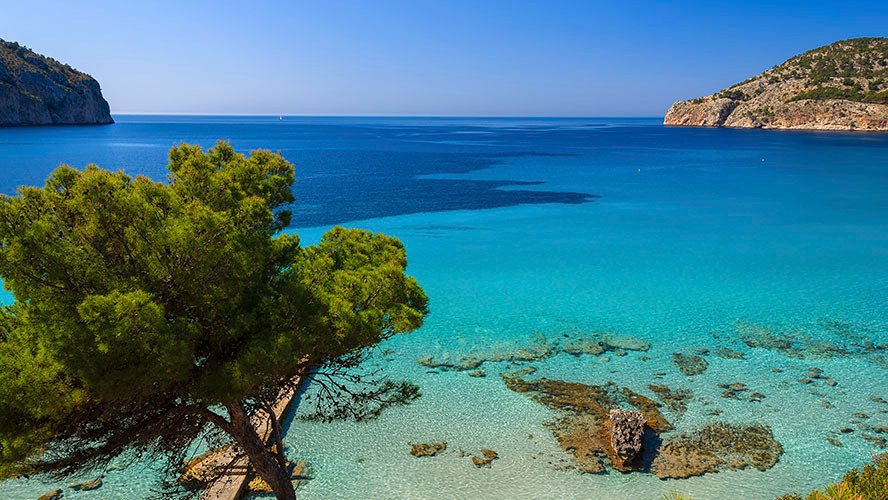 Villa a Camp de Mar, Mallorca, Andratx, Isole Baleari 1 - 15728684