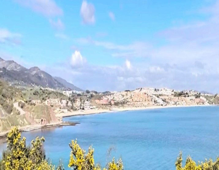 Farm Ranch in Algeciras, Andalusia, Spain 4 - 15760518