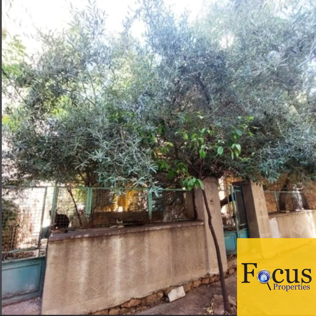 Land in Dafni, Attica, Greece 3 - 15760416
