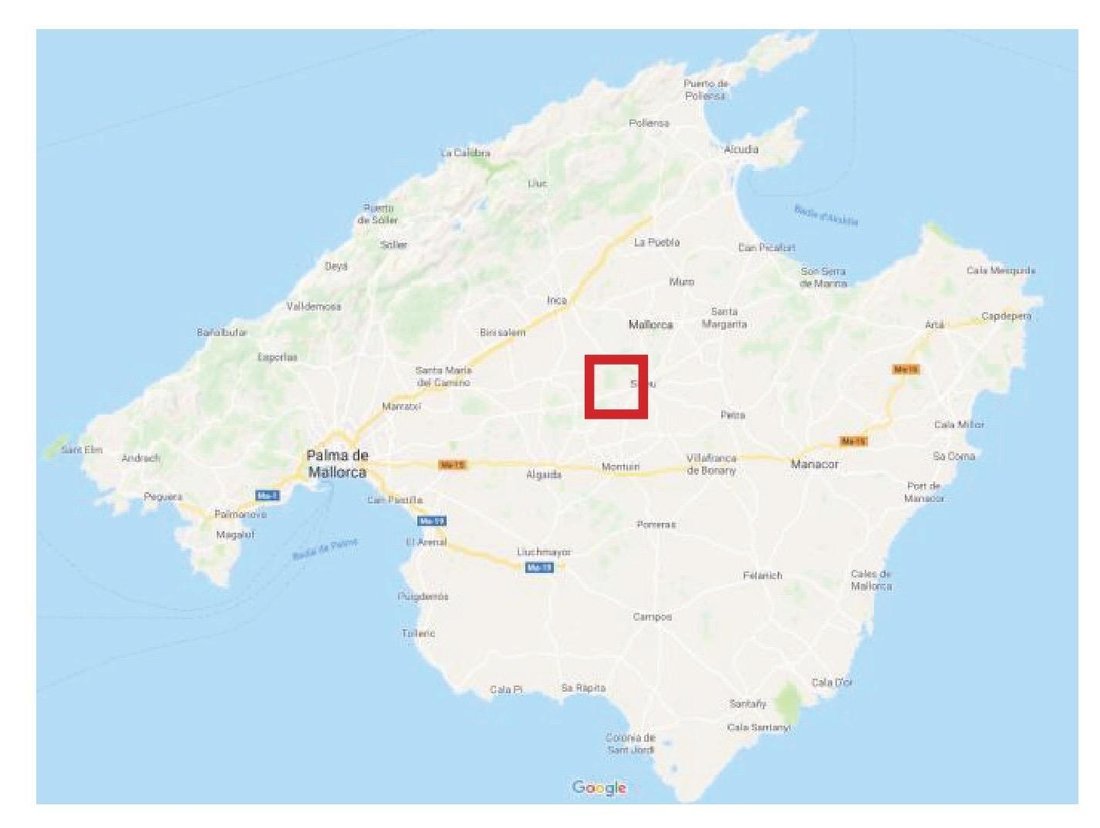 Farm Ranch in Lloret de Vistalegre, Balearic Islands, Spain 5 - 15760509