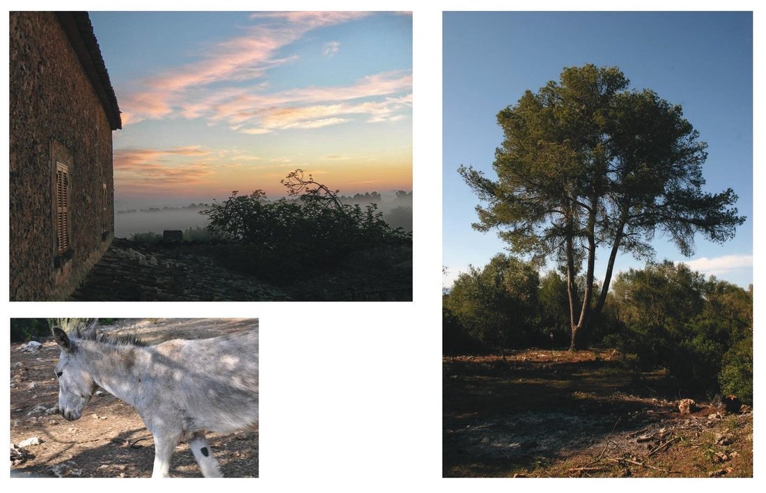 Farm Ranch in Lloret de Vistalegre, Balearic Islands, Spain 3 - 15760509