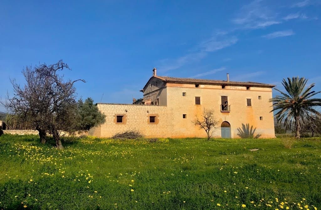 Land in Palma, Balearic Islands, Spain 1 - 15760922